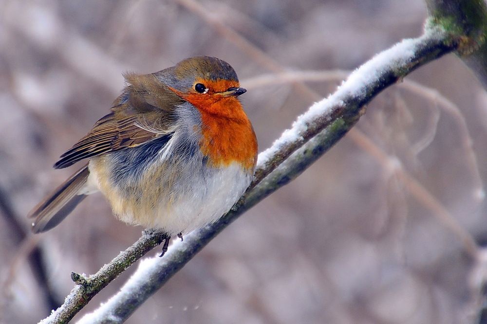 Photograph by Дмитрий Волков