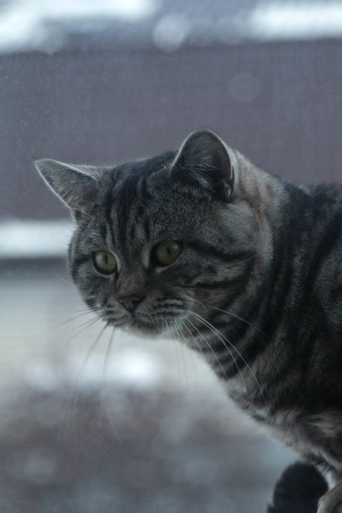 Я слежу за тобой