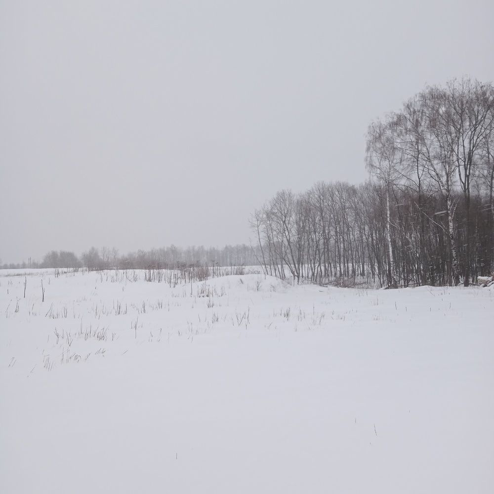 Photograph by Александр Alexander Zheleztsov