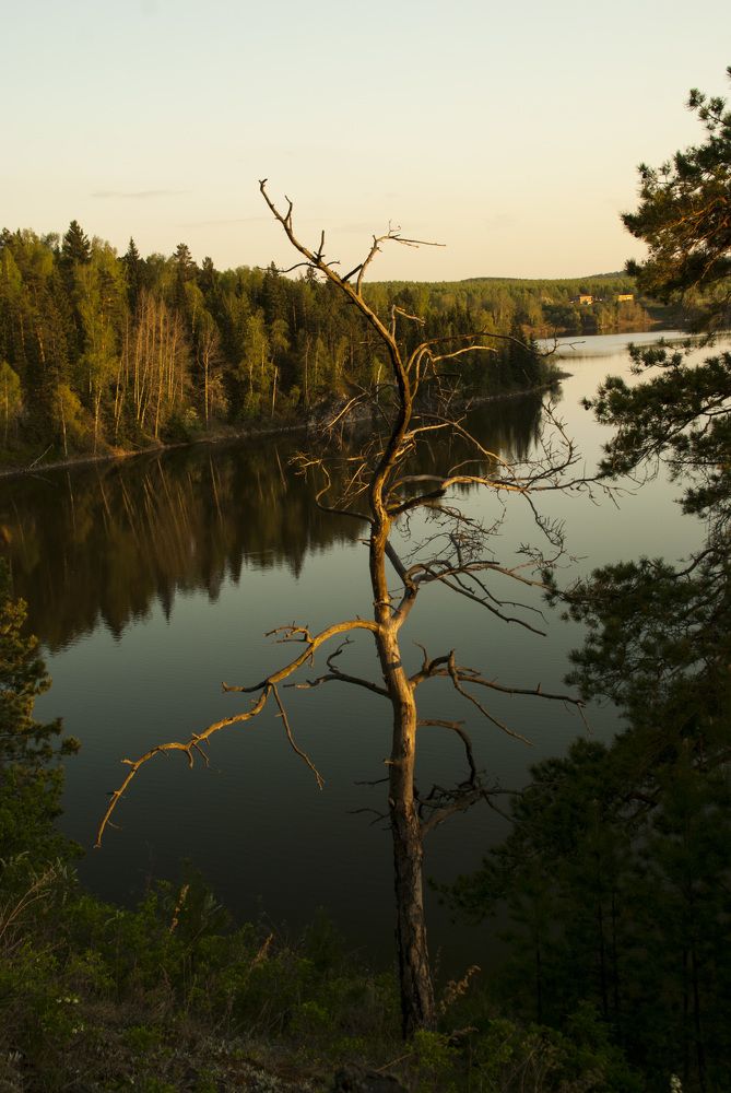 Photograph by Дубровин Николай