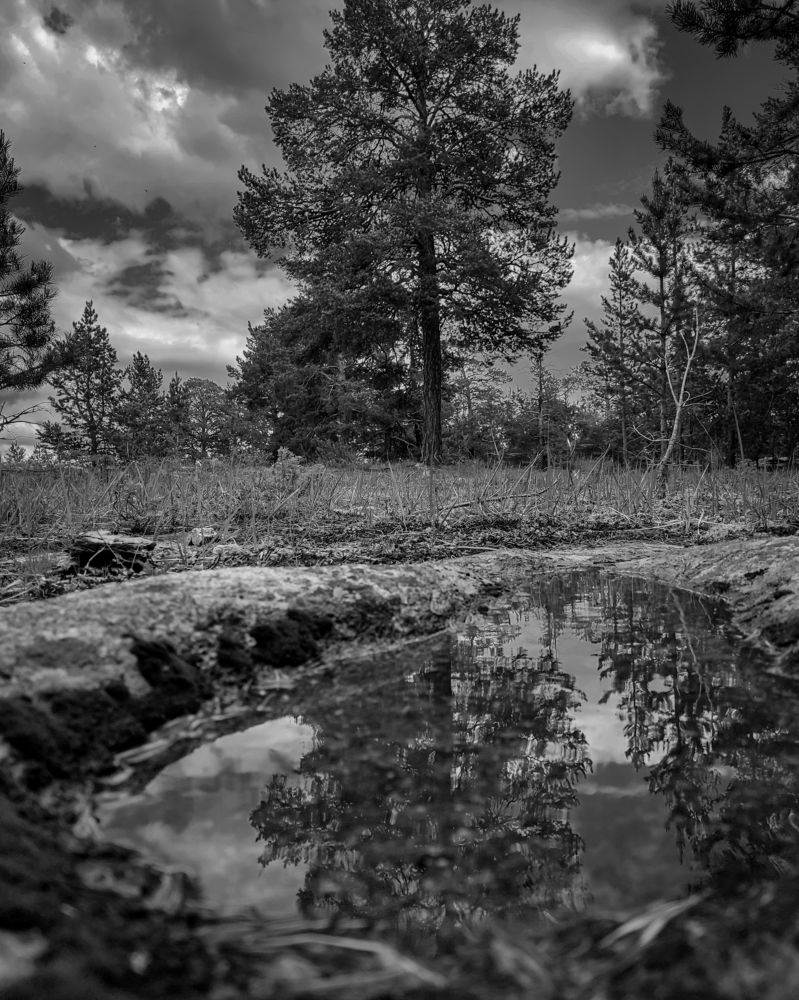 Фотография автора Руслан Токмагамбетов