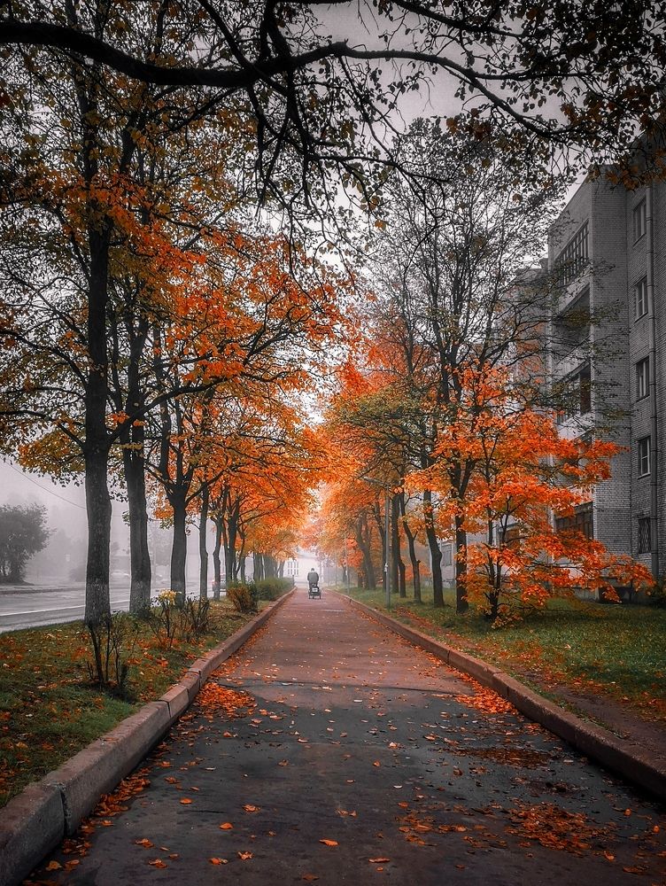 Photograph by Алексей