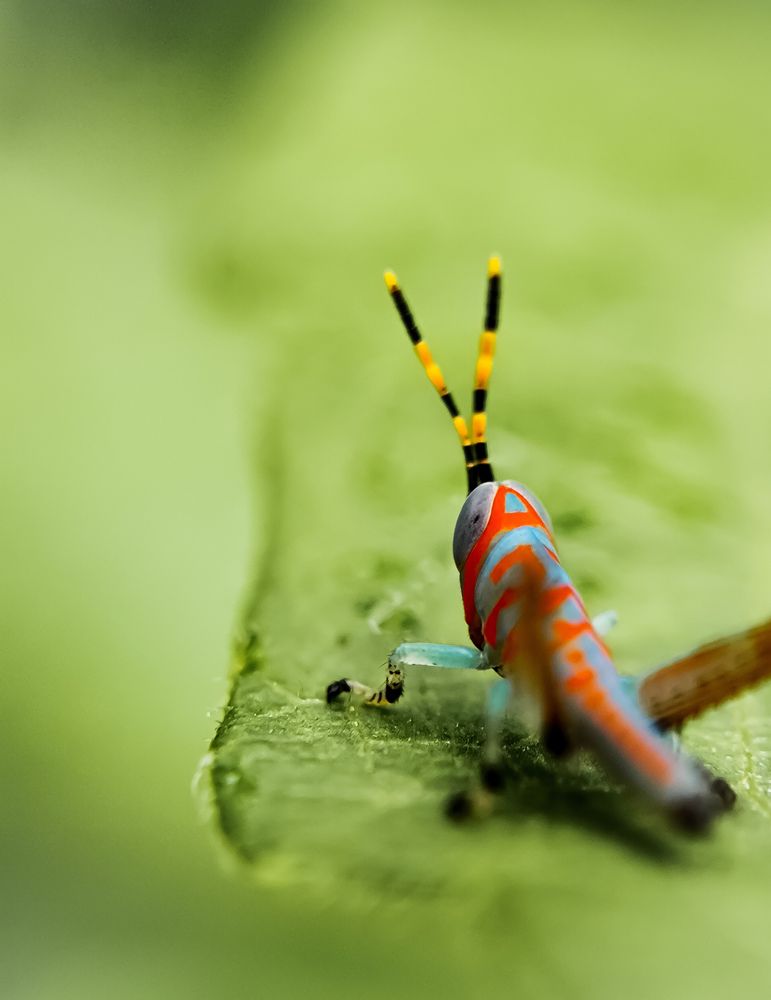 Photograph by Lakshma T S