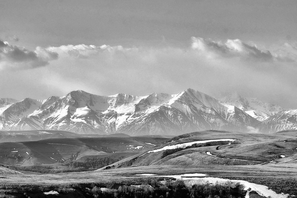 Photograph by Алексей Ольшевский