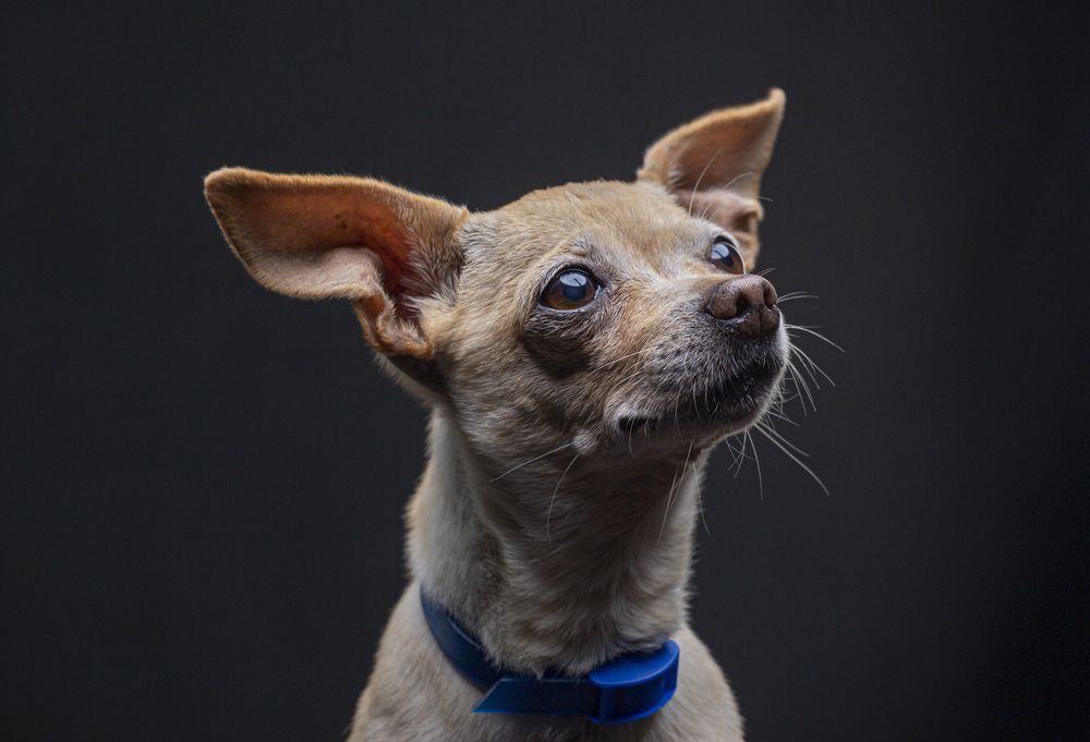 Photograph by Малышев Алексей