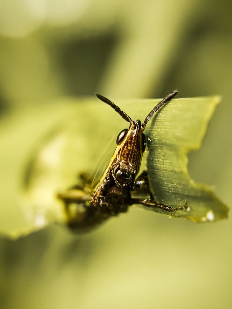 Photograph by Lakshma T S