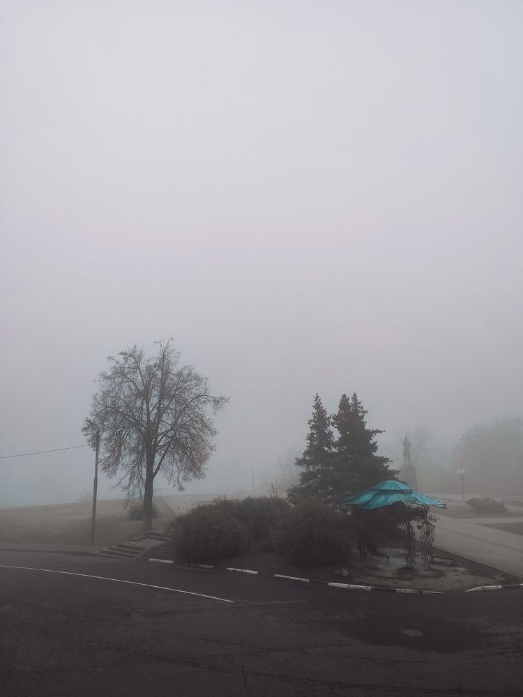 Photograph by Sidorova Irina