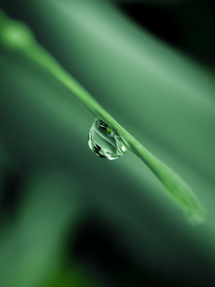 Photograph by Lakshma T S