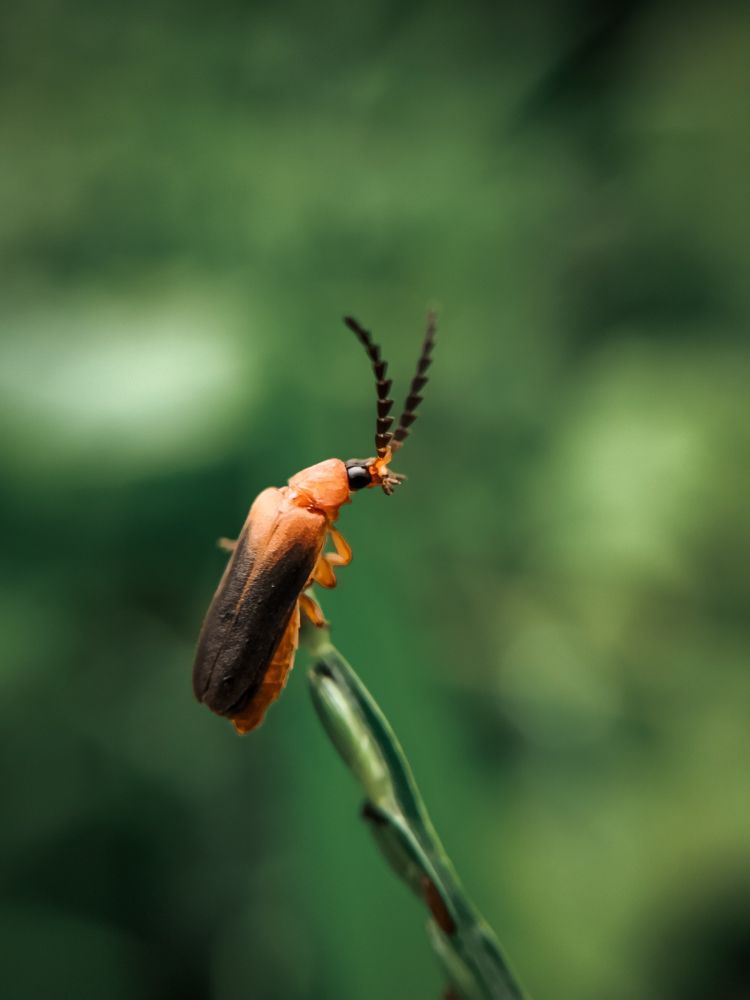 Photograph by Lakshma T S