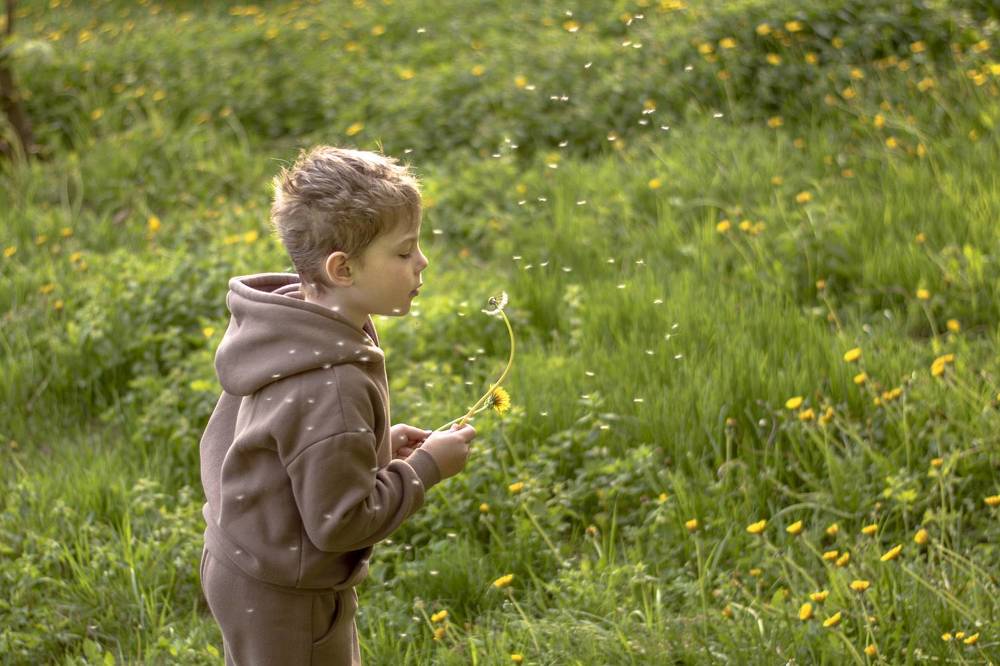 Brothers in dandelions