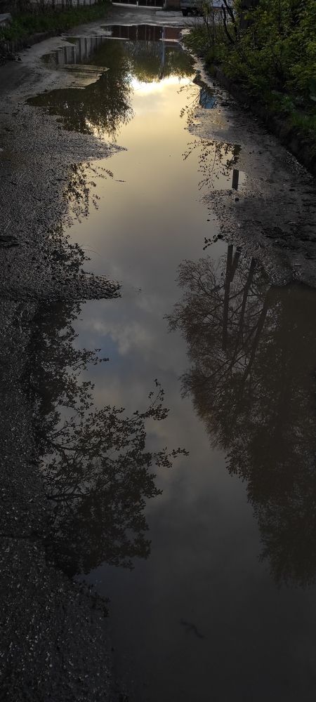 Photograph by Tatiana Kubashina