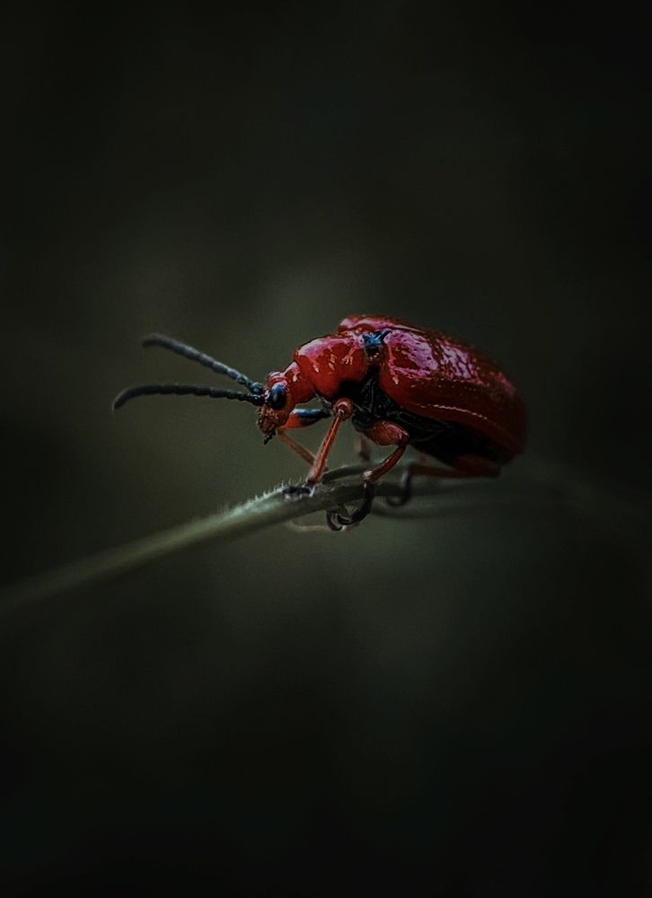 Photograph by Андрей Васильев