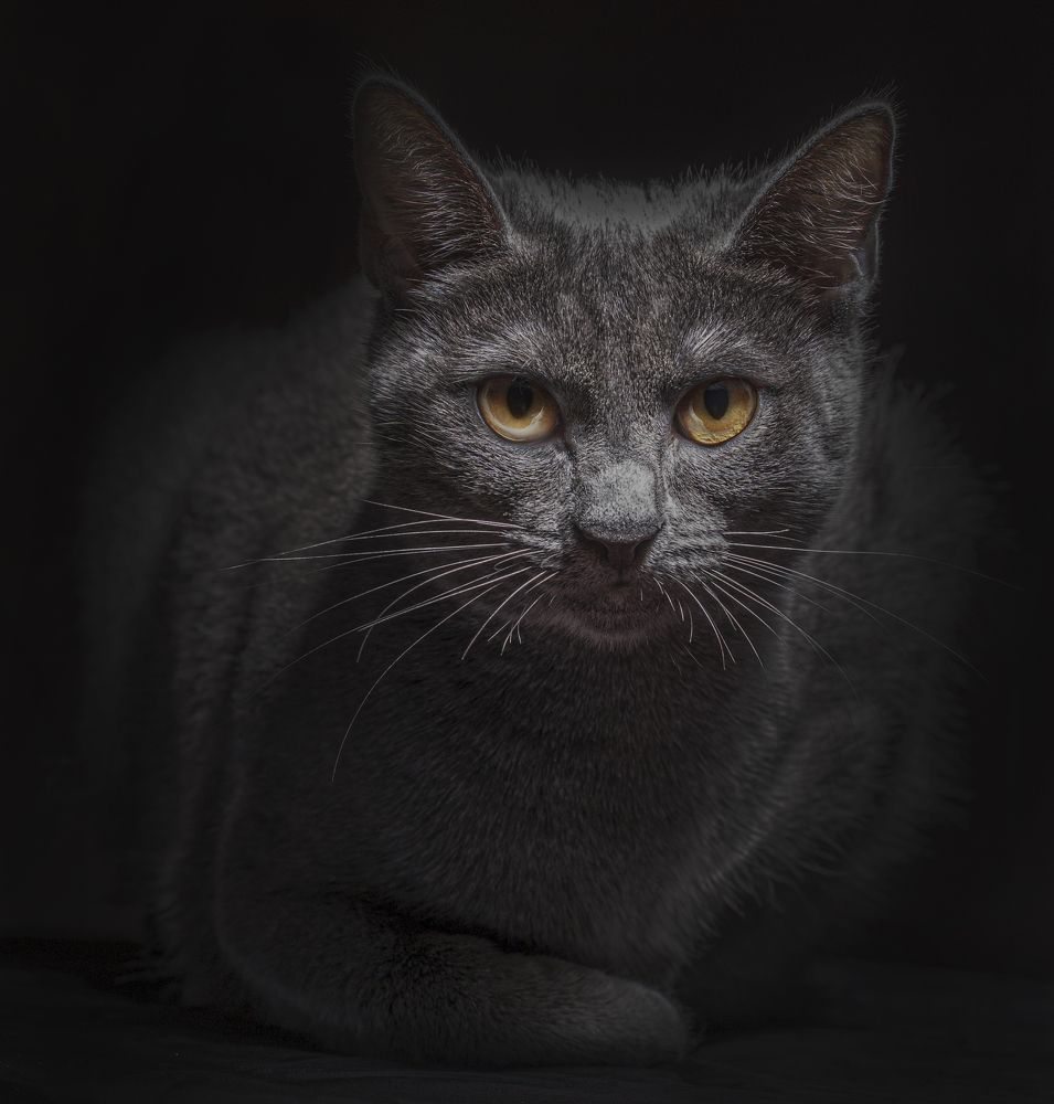 Photograph by Малышев Алексей