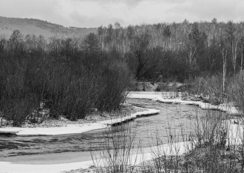 Photograph by Александр Кононов