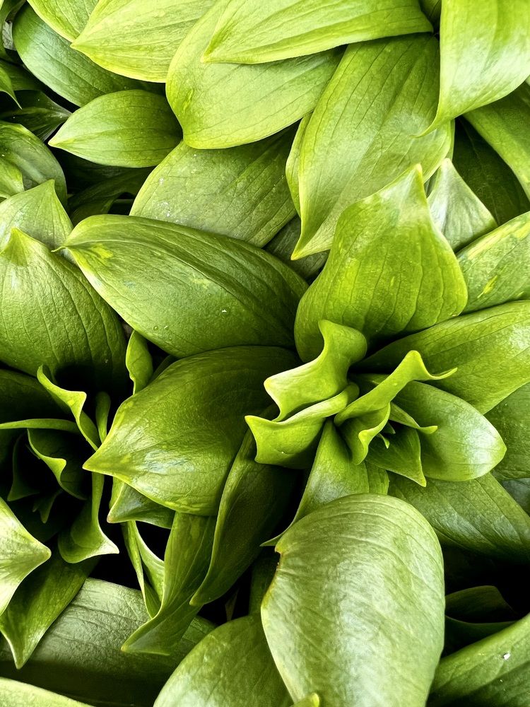 Photograph by Мария