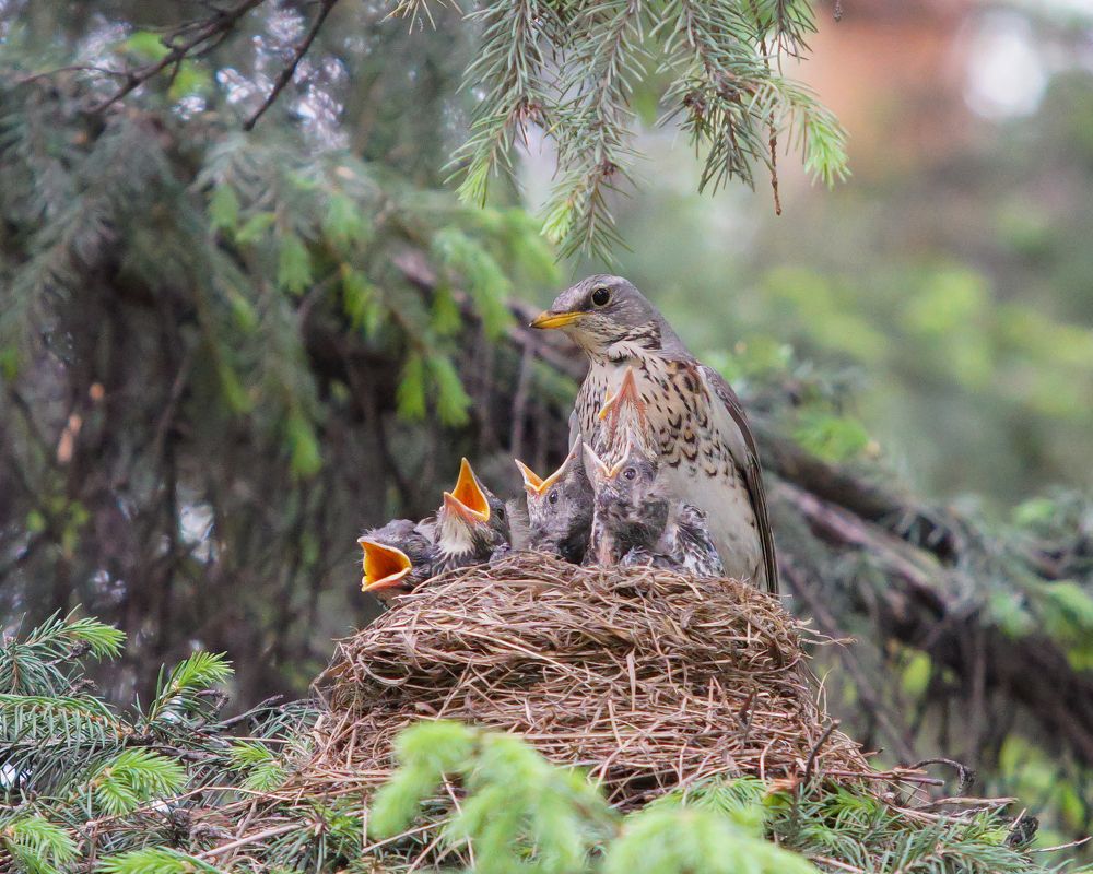 Photograph by Рыбаков Руслан