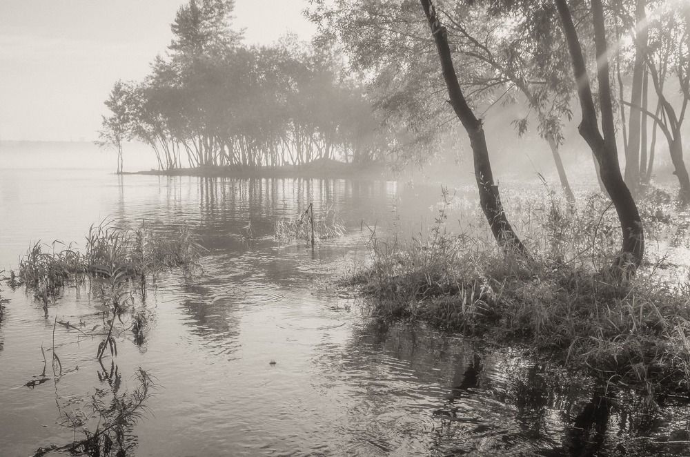 Утро в тумане...