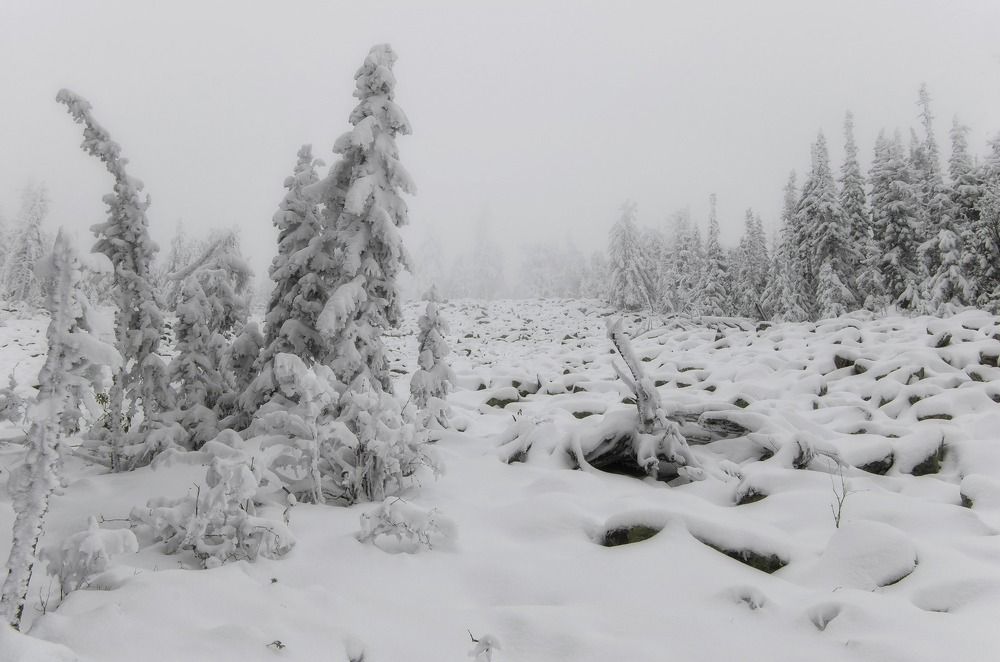 Сложный путь...