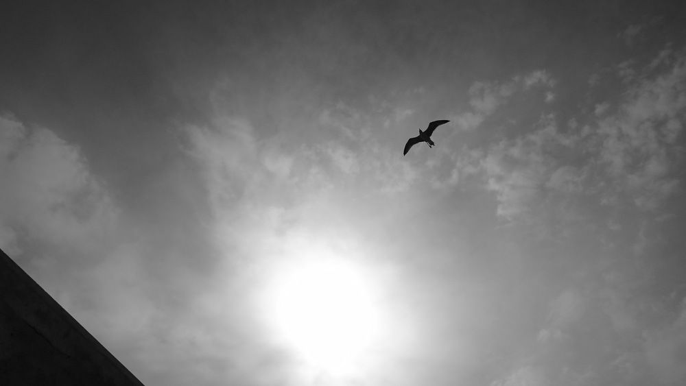 Voyage