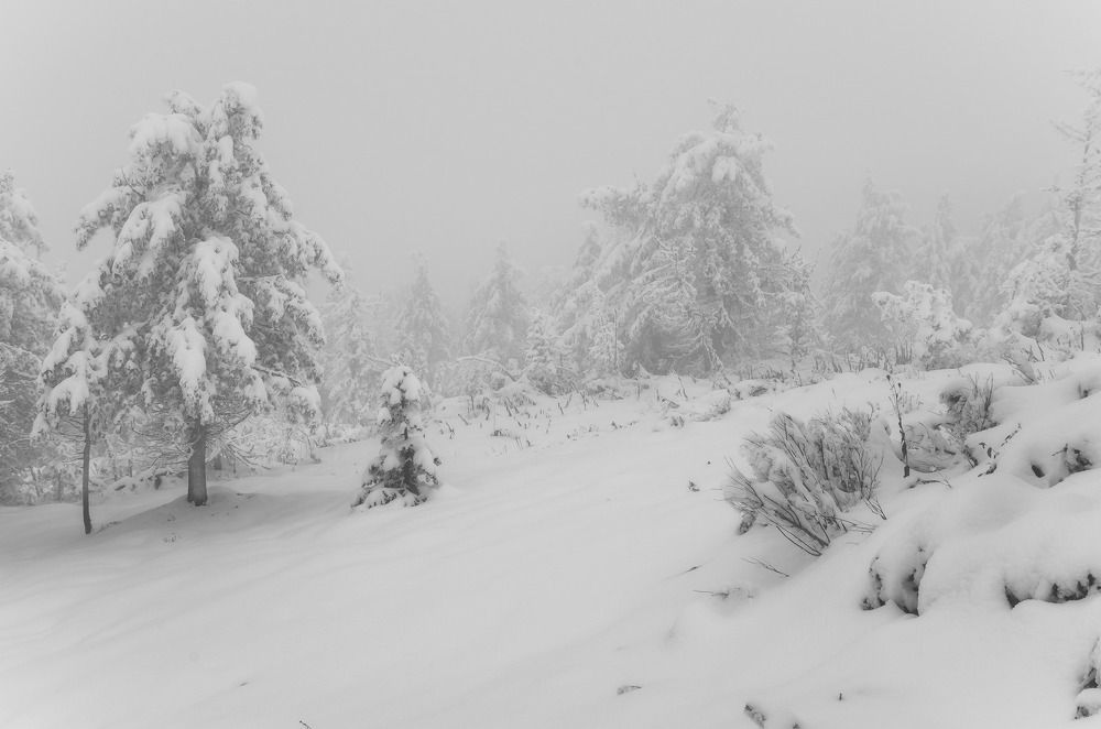 Находясь в облаках...