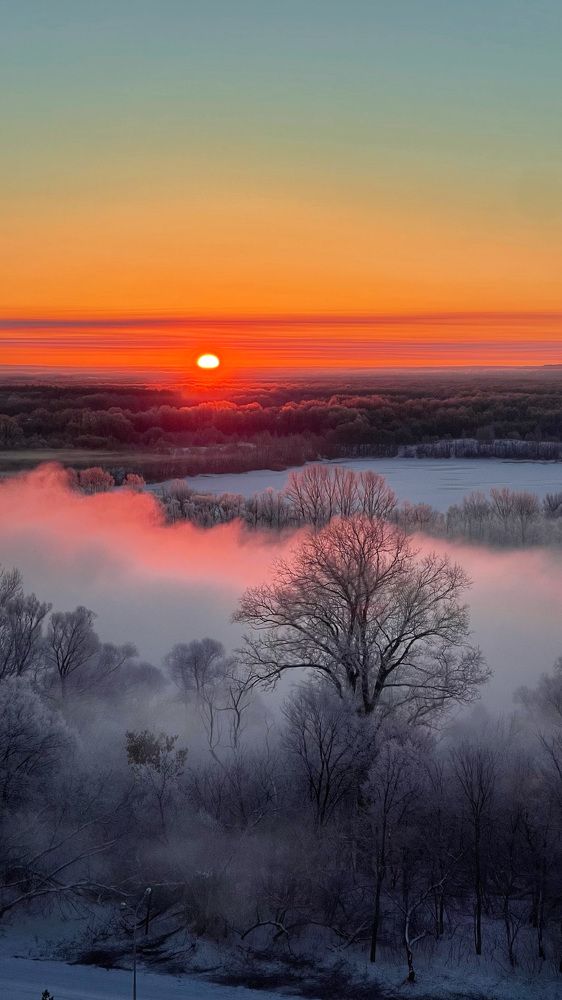 Photograph by Алина Сулейманова