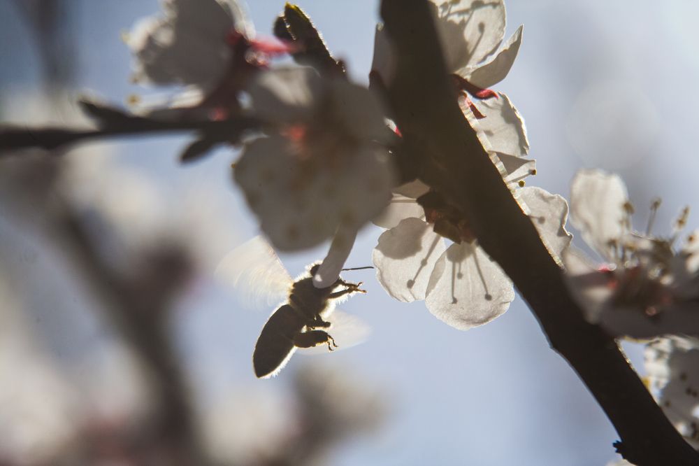 Photograph by Никита Михайлов