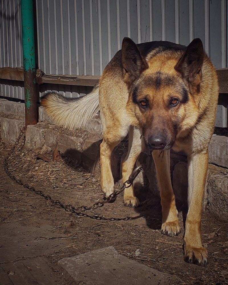 Фотография автора Марина Маллаева