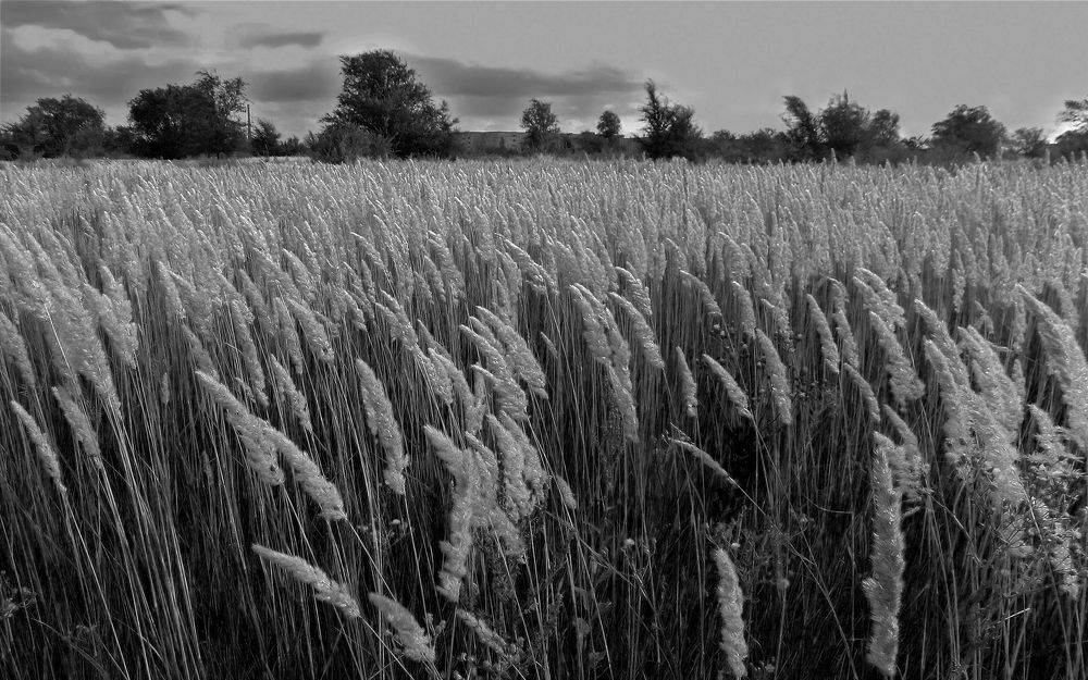 Photograph by Сергей Рудаков