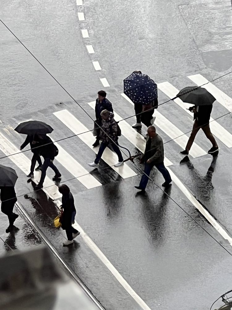 Фотография автора Наталья Васько -Черданцева