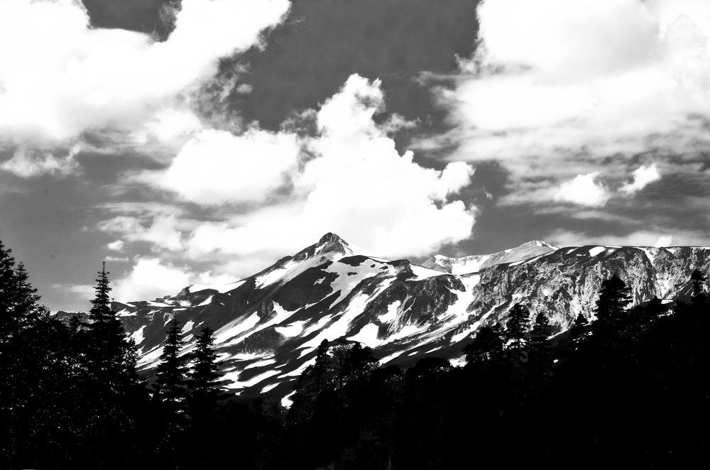 Photograph by Дмитрий Педченко