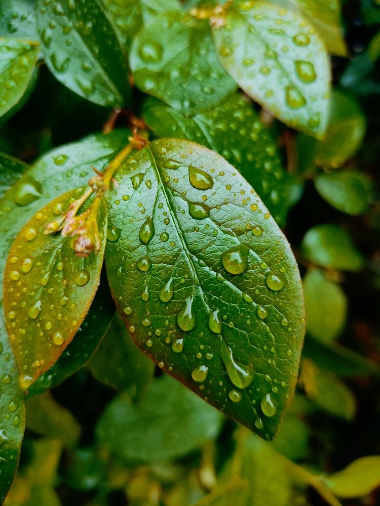 Photograph by Кристина Шацкая