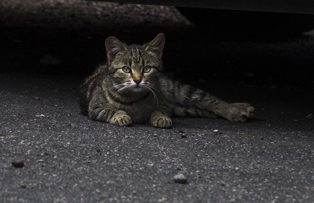 Photograph by Андрей Емельянов