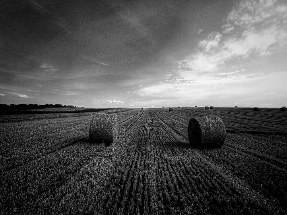 Photograph by Люба