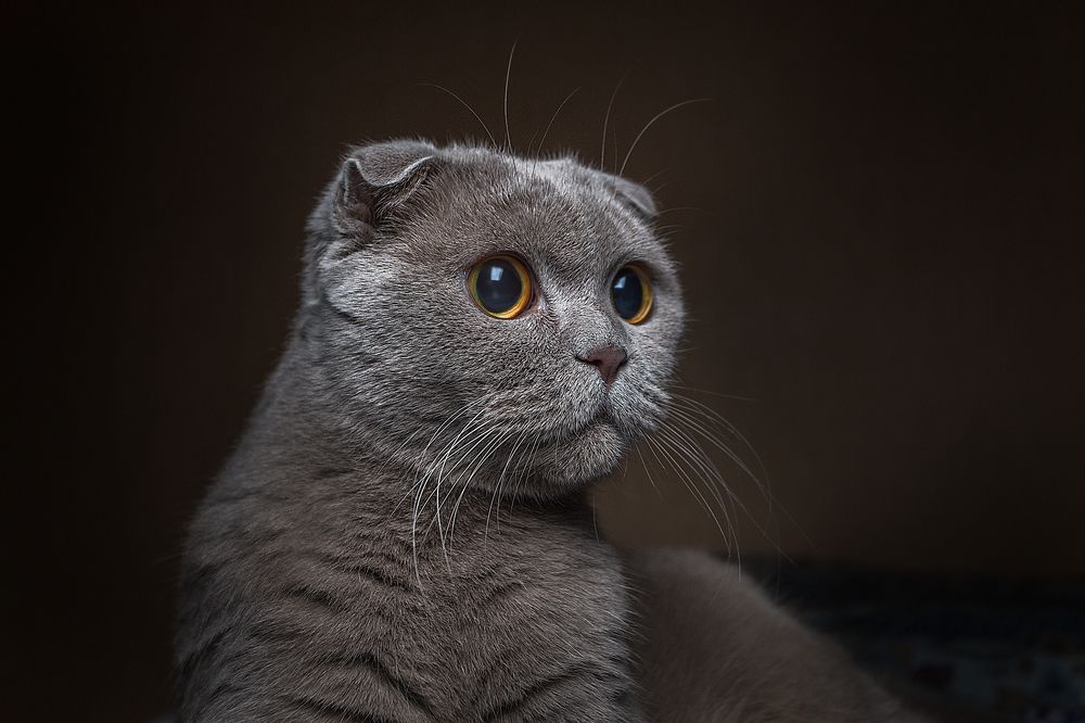 Photograph by Михаил Minyapol