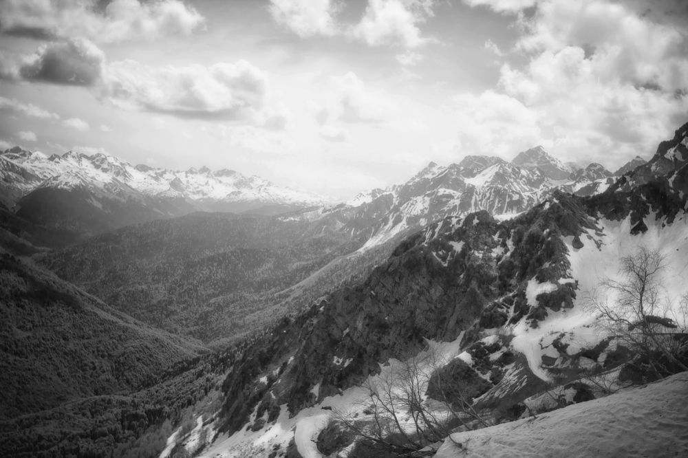 Фотография автора Анна Петина