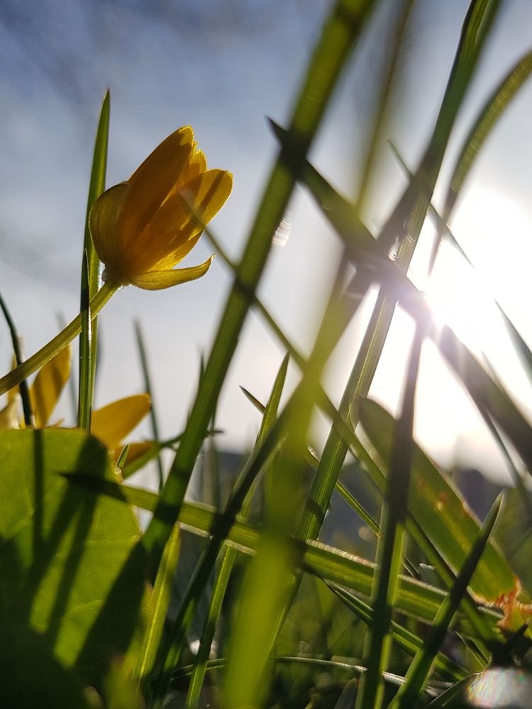 Photograph by Татьяна Яркович