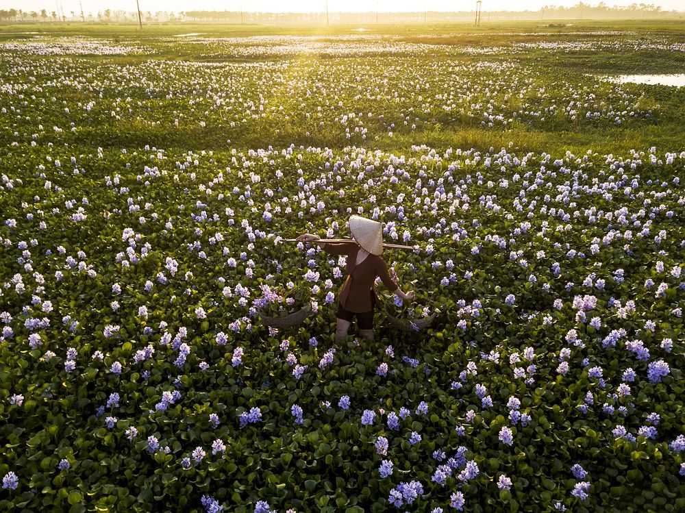 Photograph by Trần Anh Tuấn