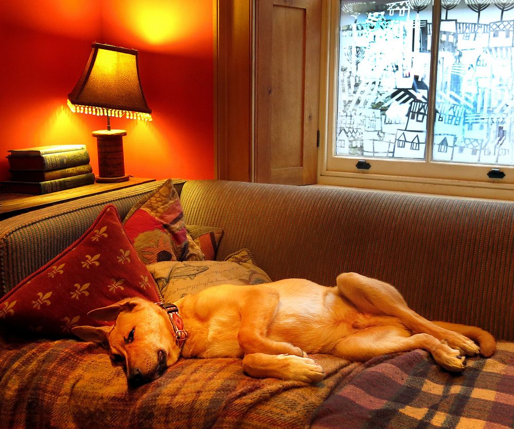 Photograph by Viviana García