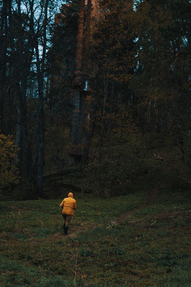 Фотография автора Василий Зачесов