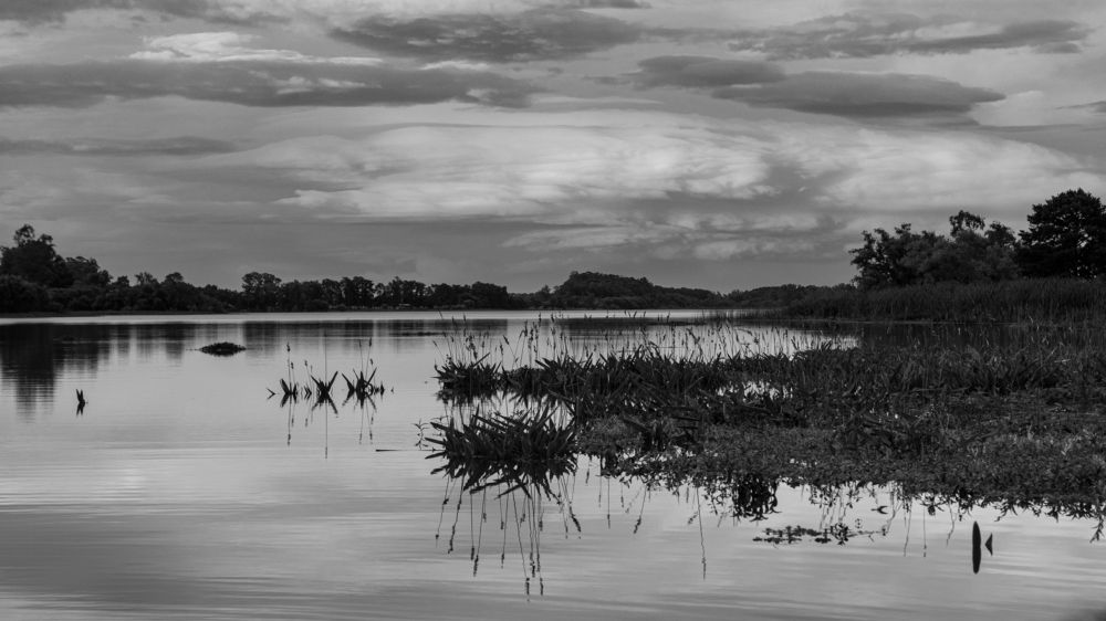 Photograph by Eduardo Añon