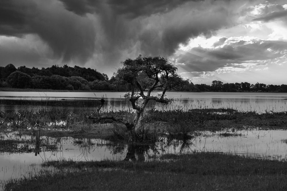 Photograph by Eduardo Añon