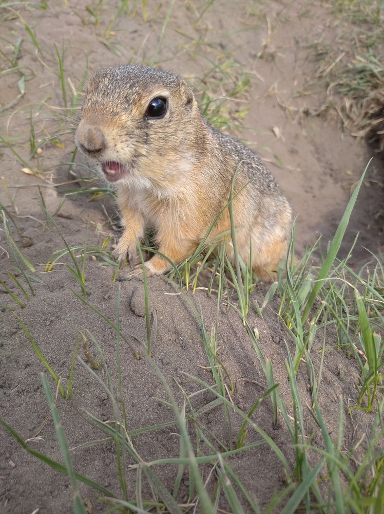 Photograph by Роман