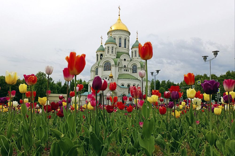 Photograph by Екатерина Стрельцова