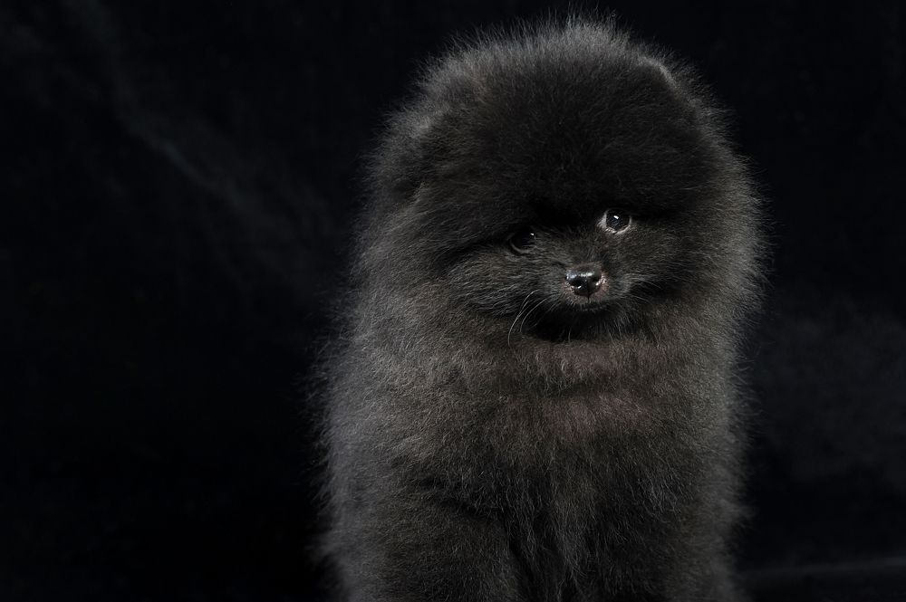 Photograph by Мария Лавриненко