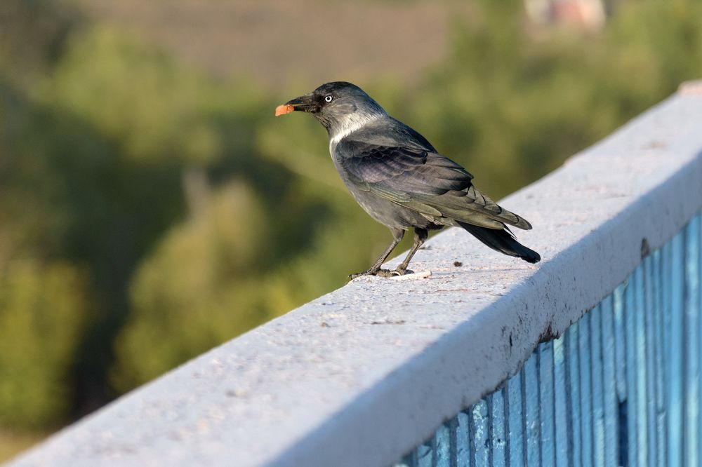 Photograph by Светлана Артюшина