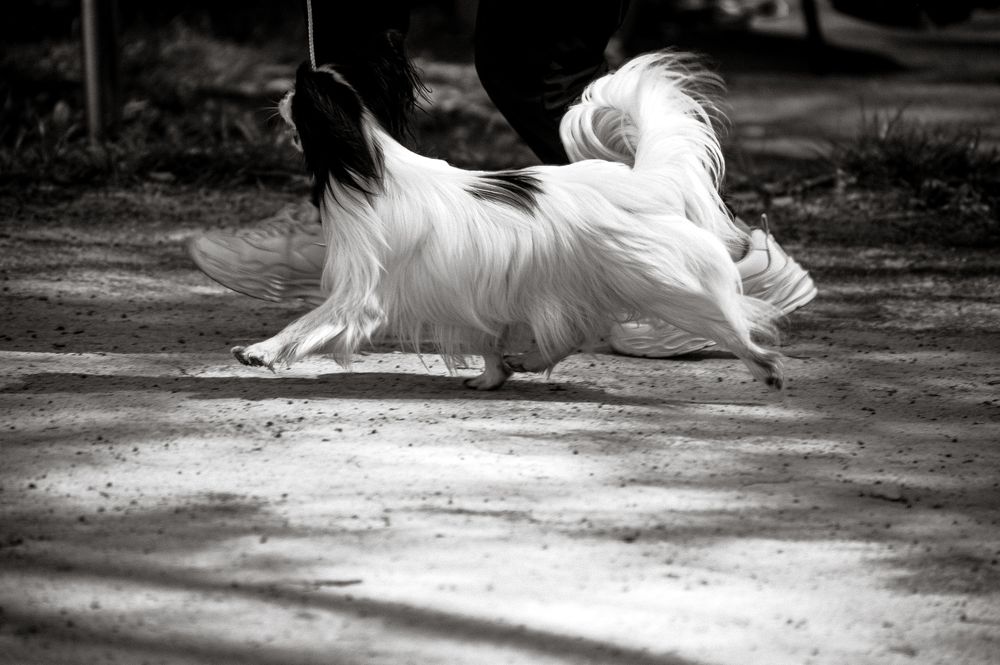 Photograph by Мария Лавриненко