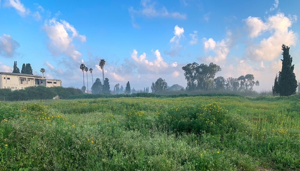 Photograph by Людмила Бекман