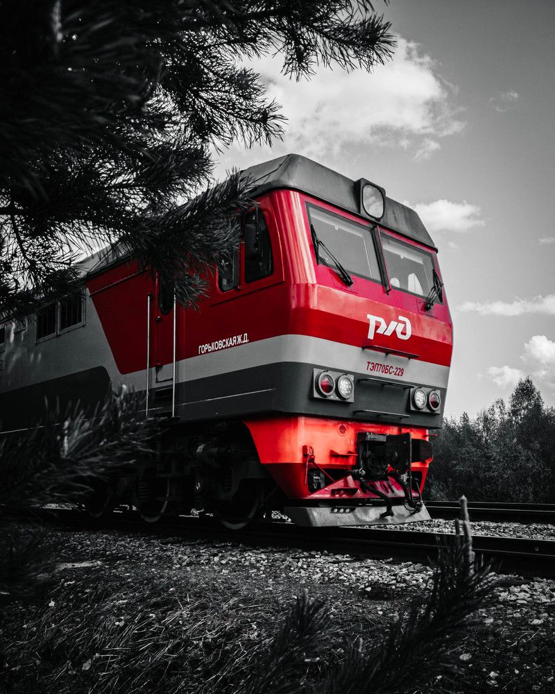 Фотография автора олег романов