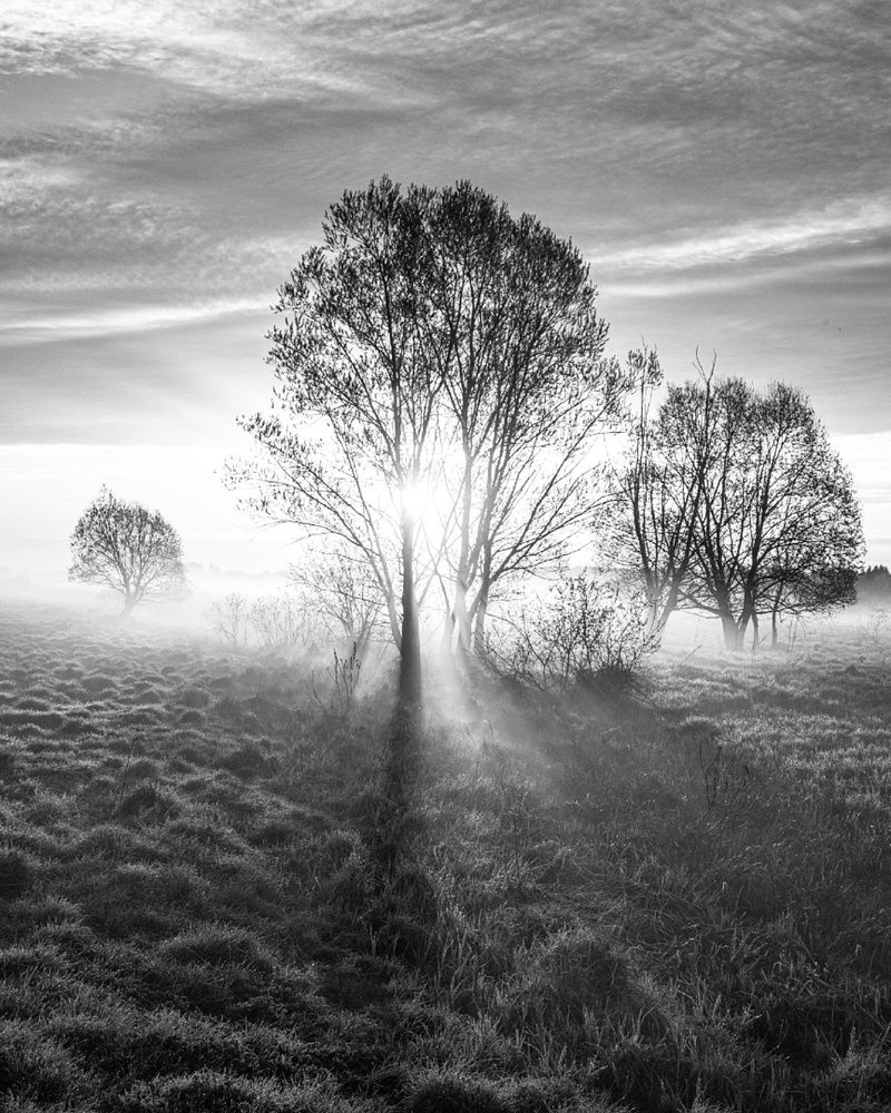 Photograph by Илья Шамин