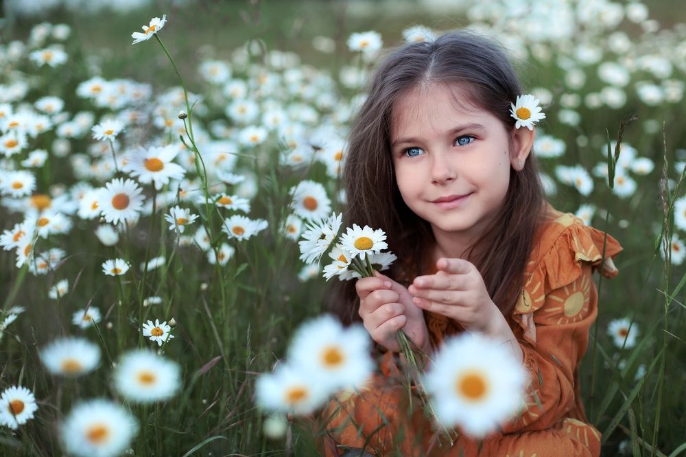 Ромашки спрятались...